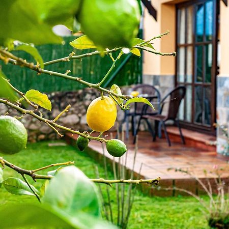 Вилла Casa Sabina Zona De Playa Y Montana Льянес Экстерьер фото